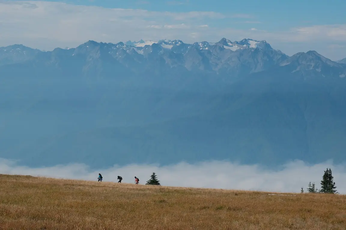 霧の山を背に草の尾根を登る登山者