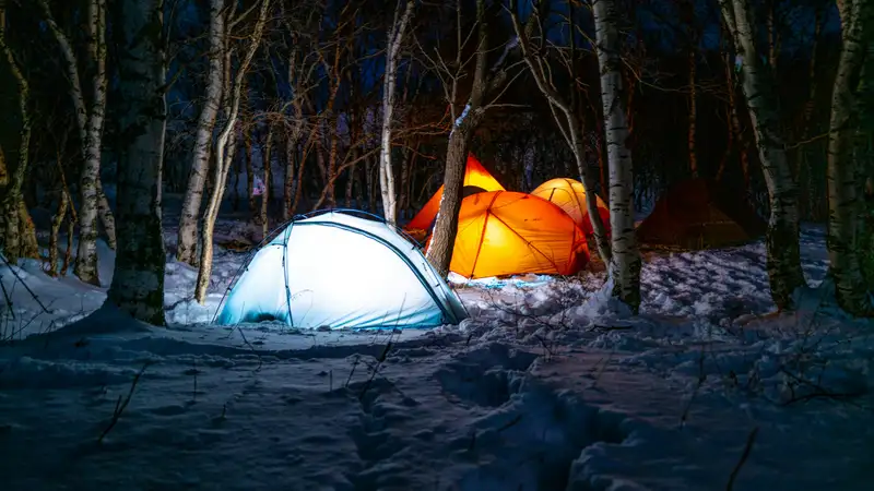 雪の積もった夜の森で、明かりのついたテントが並ぶ