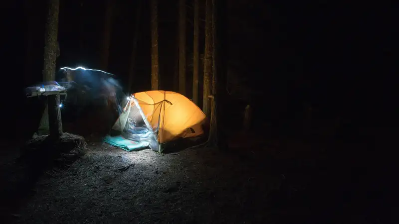 夜の森で明かりが灯るテント