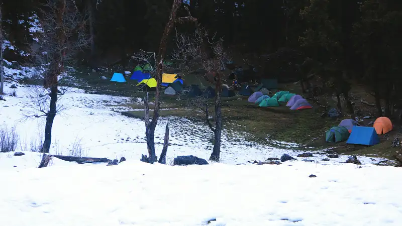 雪の残る林の手前の草地に並ぶ色とりどりのテント