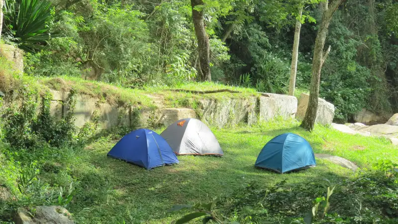 新緑の森の草地に張られた青いテント